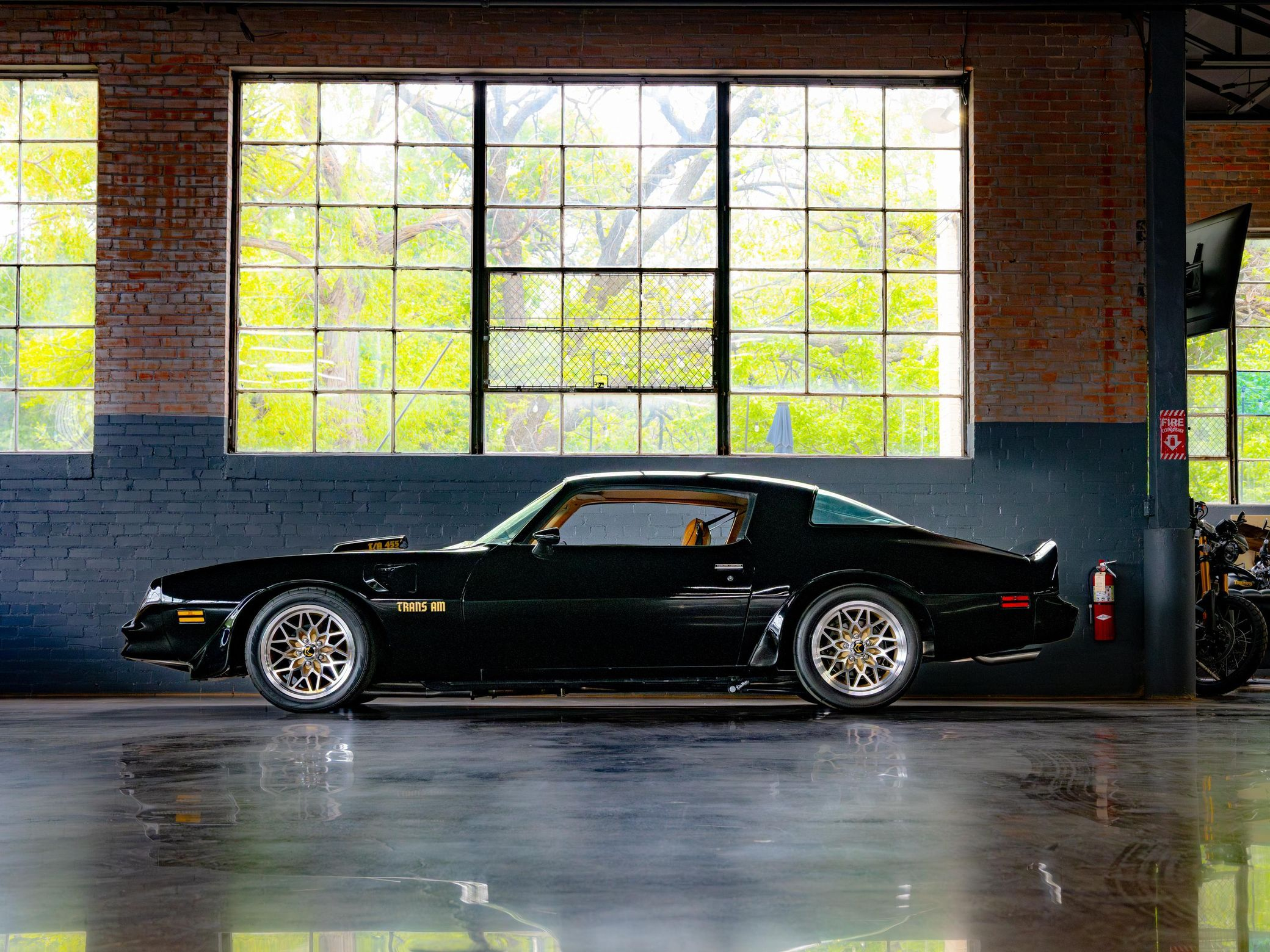 1980 Pontiac Firebird Trans Am - Image 117
