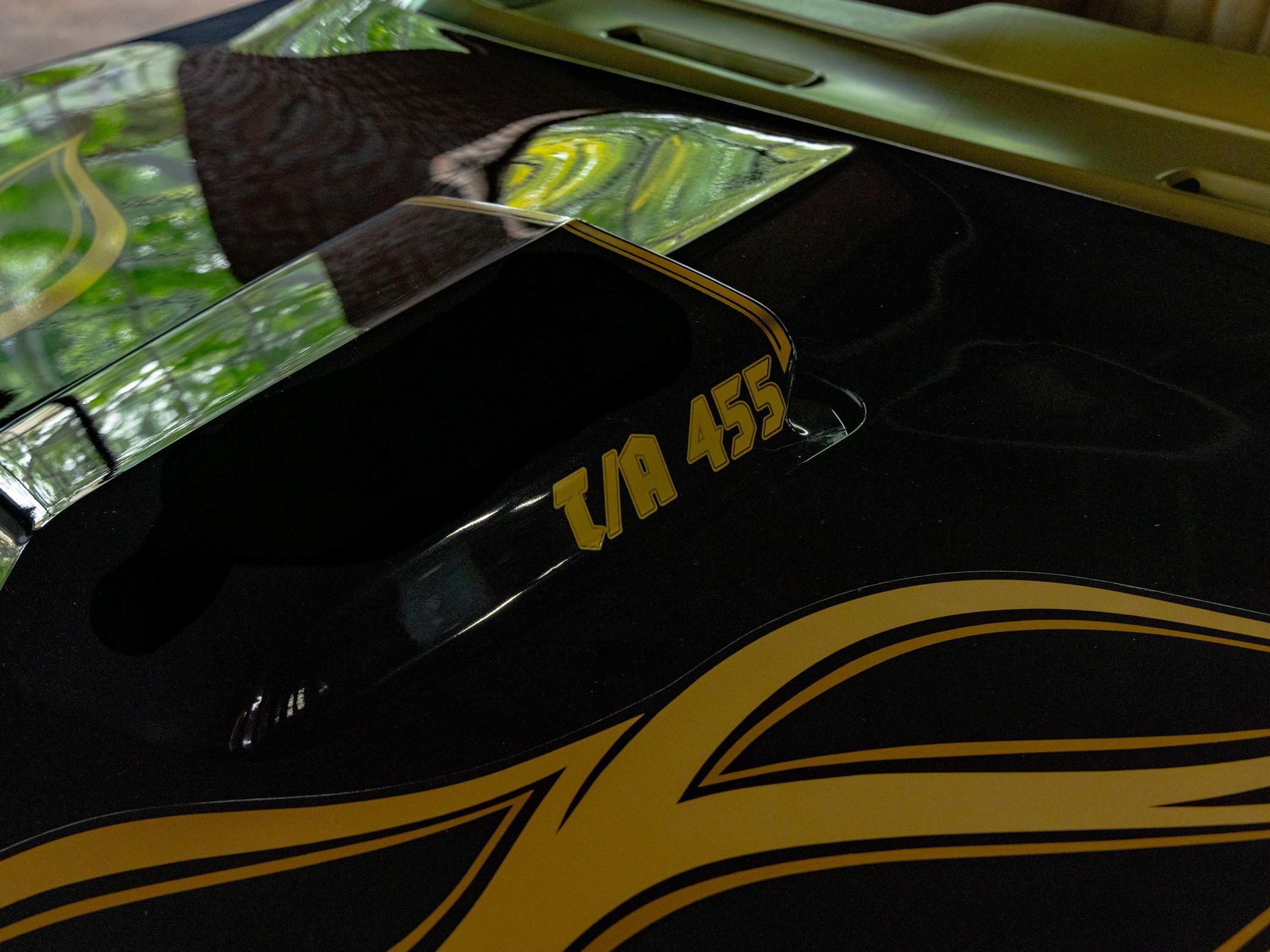 1980 Pontiac Firebird Trans Am - Image 51