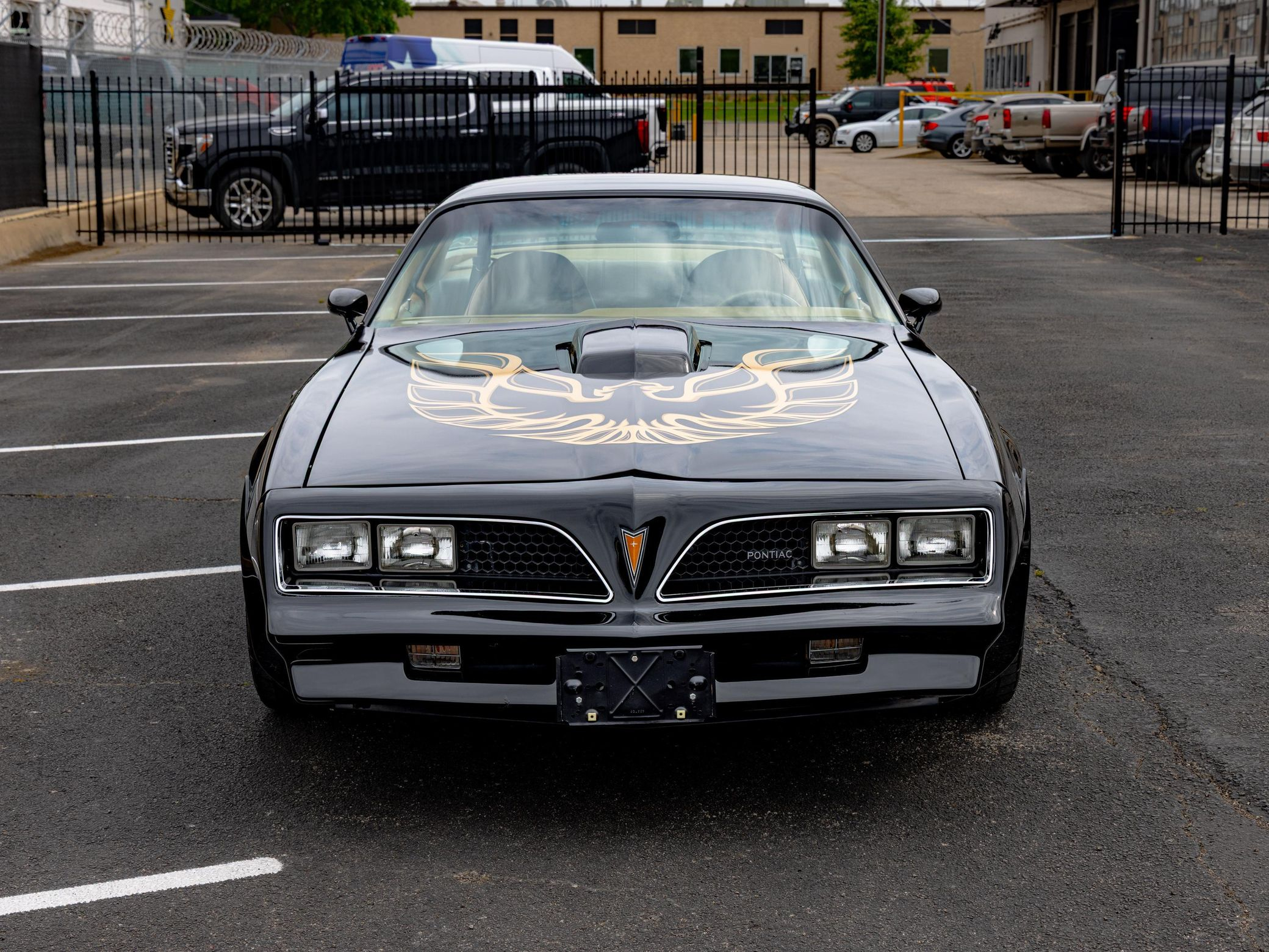 1980 Pontiac Firebird Trans Am - Image 72