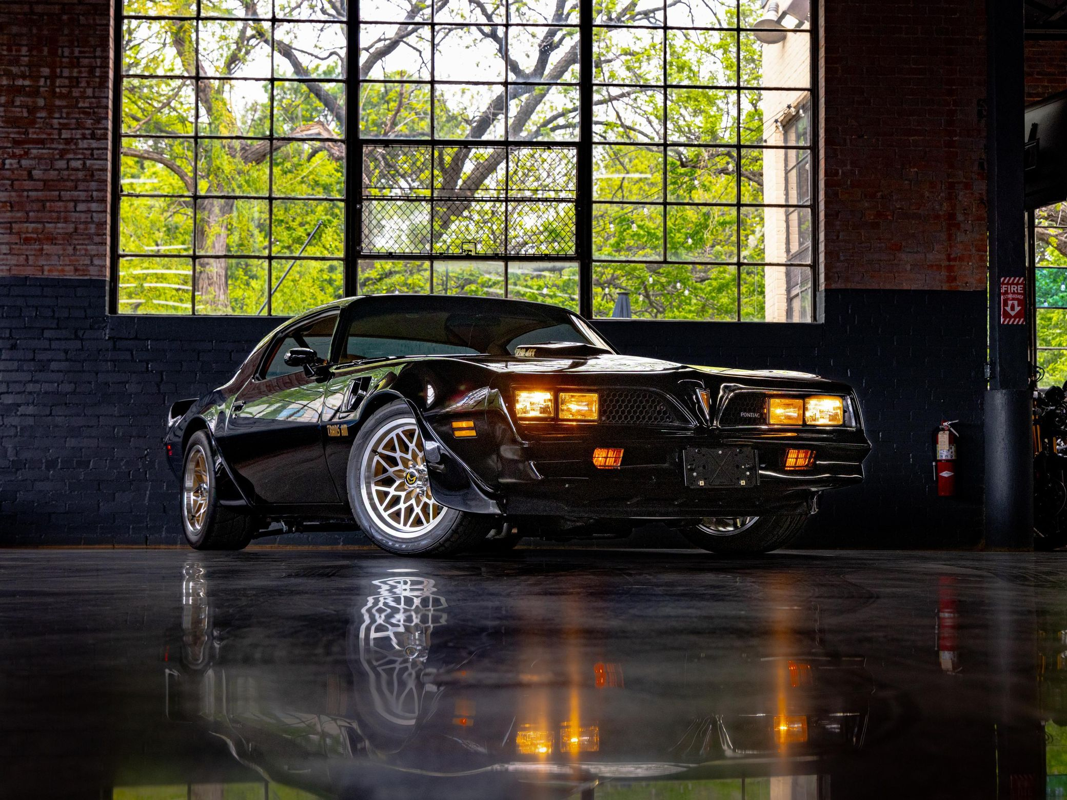 1980 Pontiac Firebird Trans Am - Image 91