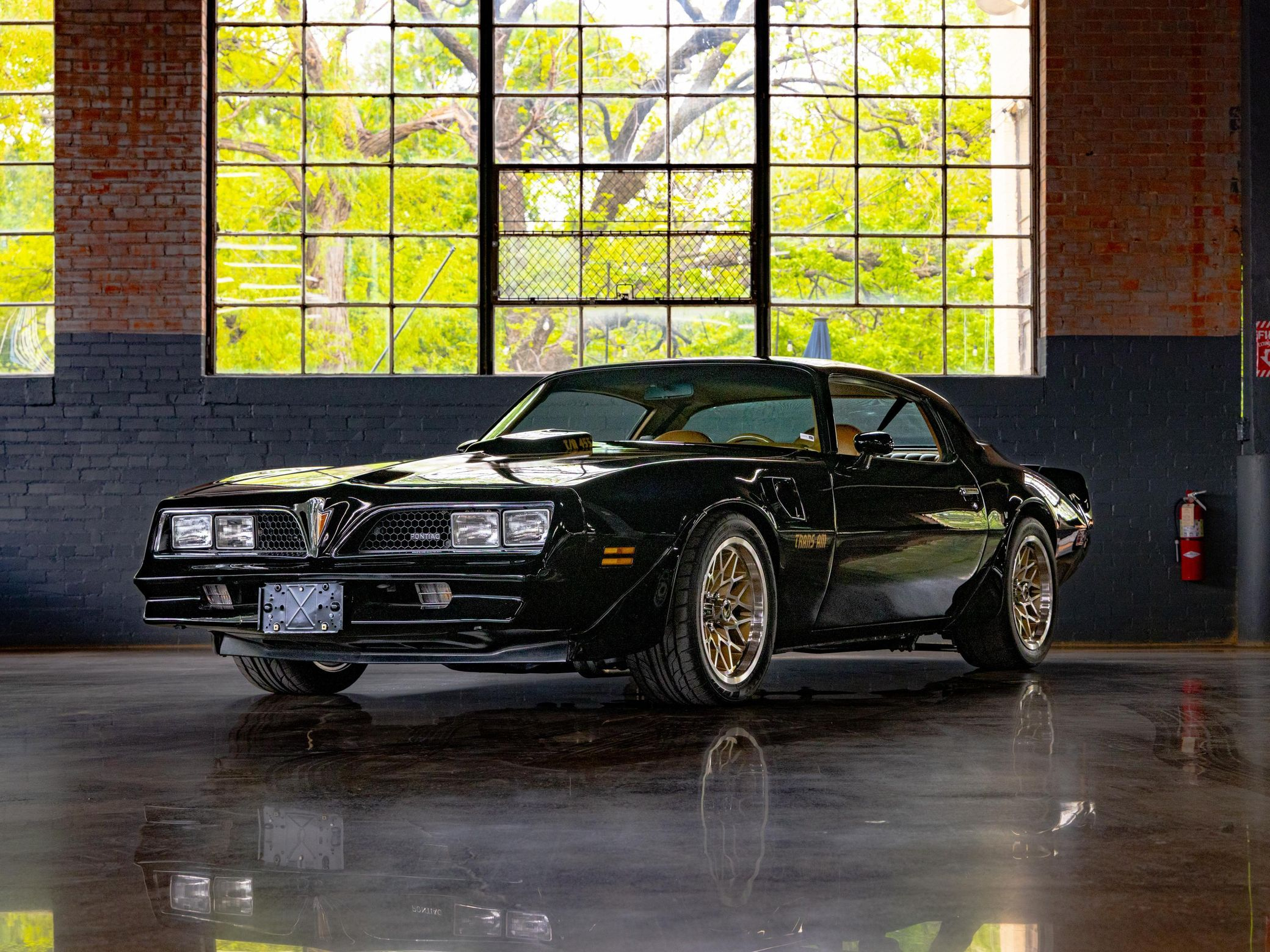 1980 Pontiac Firebird Trans Am - Image 105
