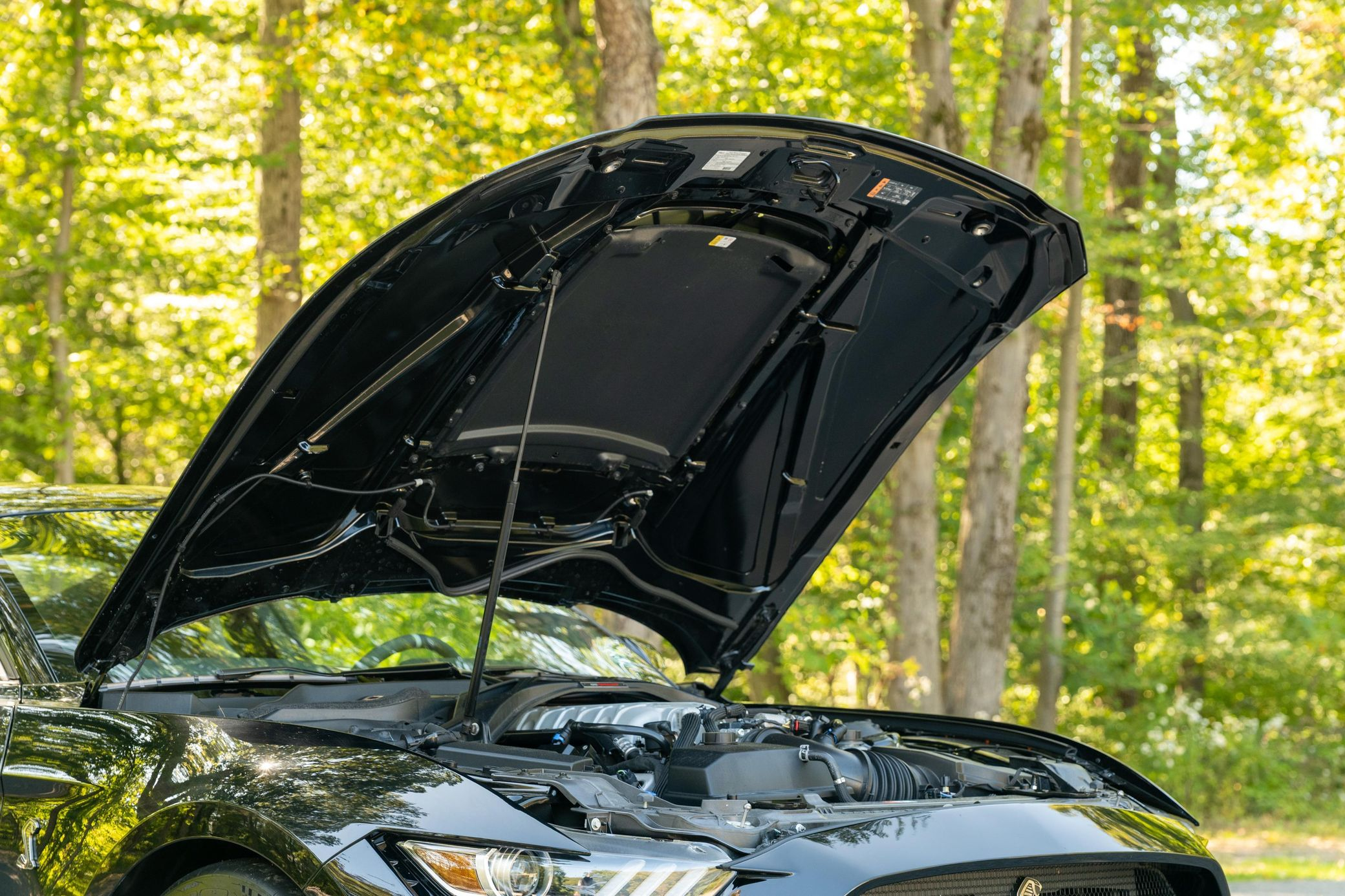 2021 Ford Mustang Shelby GT500 - Image 33