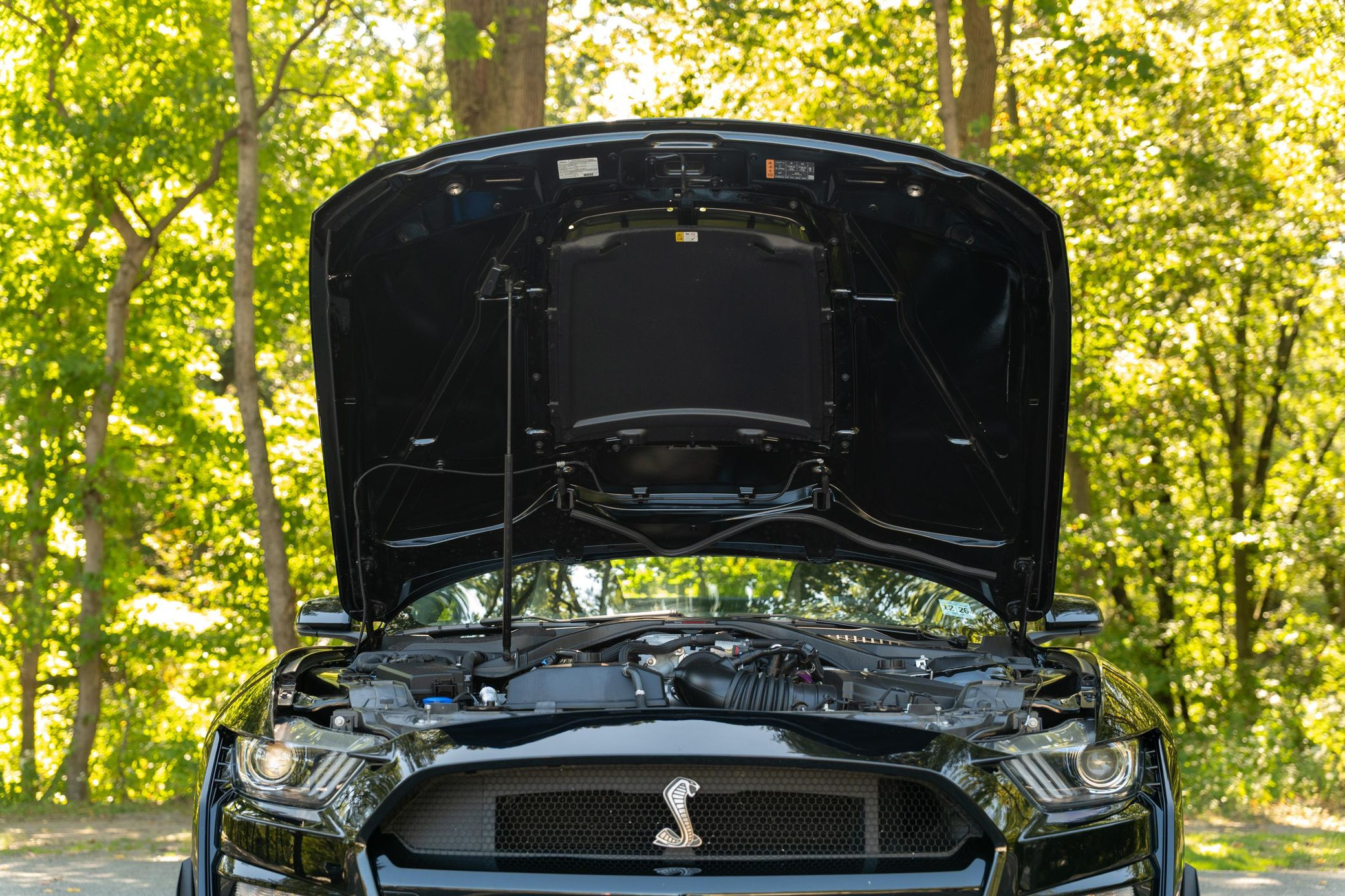 2021 Ford Mustang Shelby GT500 - Image 41