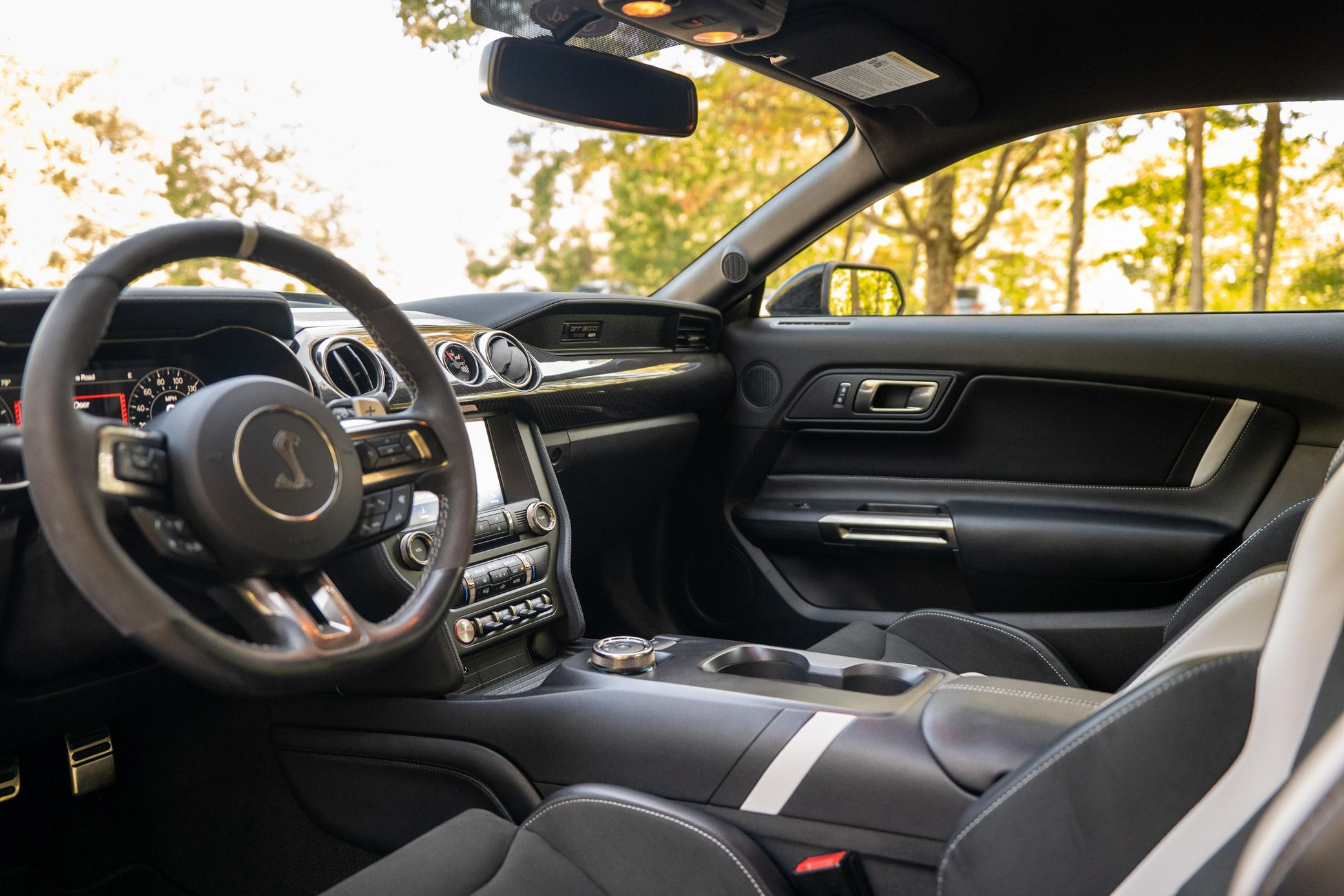 2021 Ford Mustang Shelby GT500 - Image 10